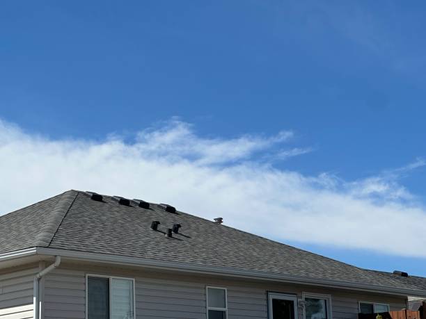 Best Asphalt Shingle Roofing  in Sansom Park, TX